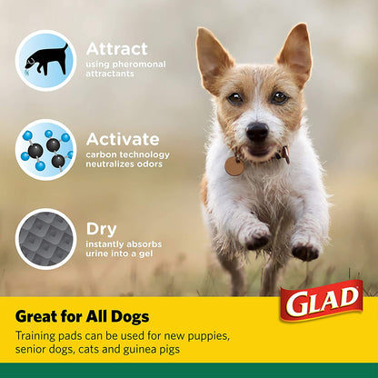 Glad for Pets Activated Carbon Dog Training Pads - Super Absorbent and Leak Proof Dog Pee Pads Extra Large, Indoor Potty Pads with Adhesive Strips, XL Puppy Pad Giant Size, 30" X 36"