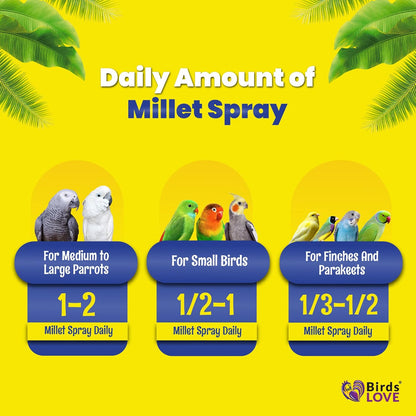 Birds LOVE Economy & Thin Special Spray Millet Gmo-Free (No Stems Only Edible Tops) for Birds Cockatiel Lovebird Parakeet Finch Canary All Parrots Healthy Treat