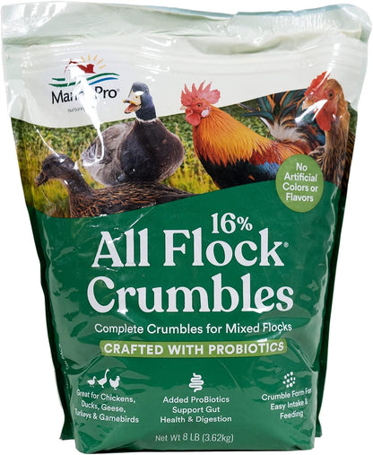 Manna Pro All Flock Crumbles, 16% Protein Level, Complete Feed for Chickens, Ducks, Geese, Turkeys and Gamebirds, Probiotics to Support Digestion, Crumbled Form for Easy Feeding