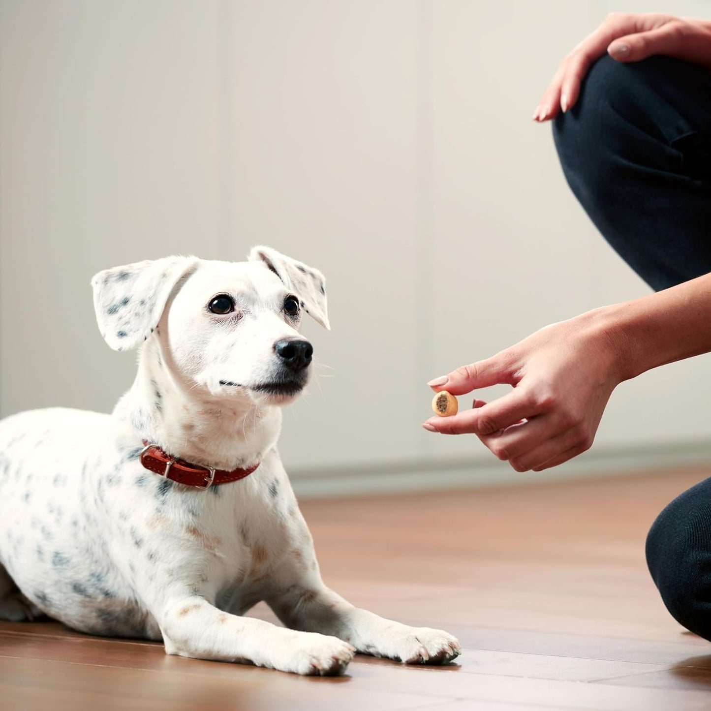 Marosnacks Dog Treats, Peanut Butter, 40 Ounce with Real Bone Marrow and Calcium