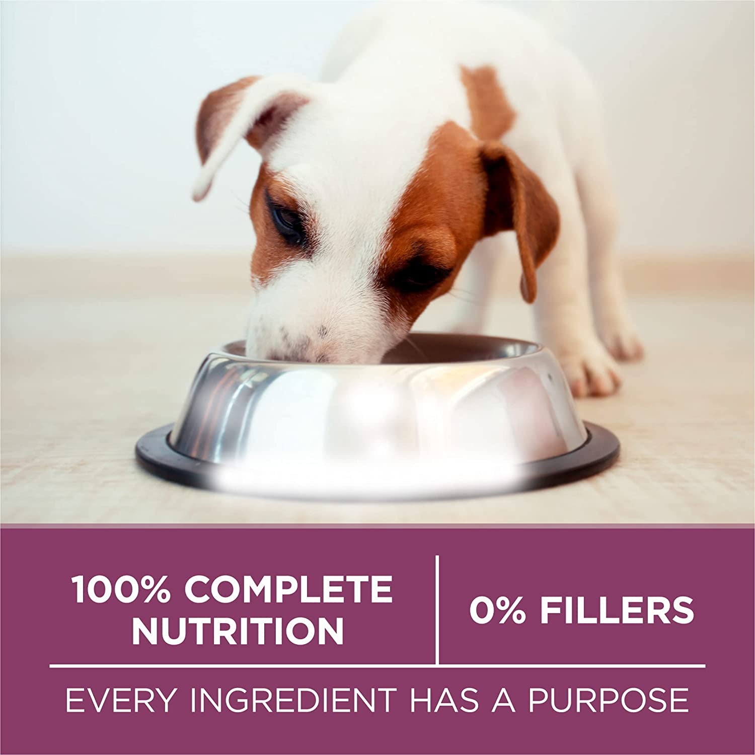 Purina ONE plus Healthy Puppy Formula High Protein Natural Dry Puppy Food with Added Vitamins, Minerals and Nutrients