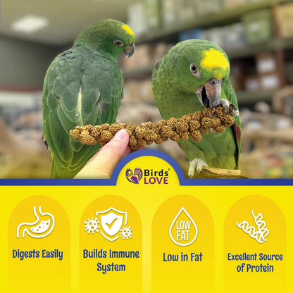 Birds LOVE Economy & Thin Special Spray Millet Gmo-Free (No Stems Only Edible Tops) for Birds Cockatiel Lovebird Parakeet Finch Canary All Parrots Healthy Treat