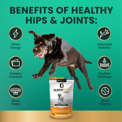 Vetriscience Ultimate Strength Healthy Hip & Joint Chews, Glycoflex Glucosamine, Chondroitin & Green-Lipped Mussel Joint Support Supplement for Dogs, Soothe Joint Discomfort, Duck, 60 Count