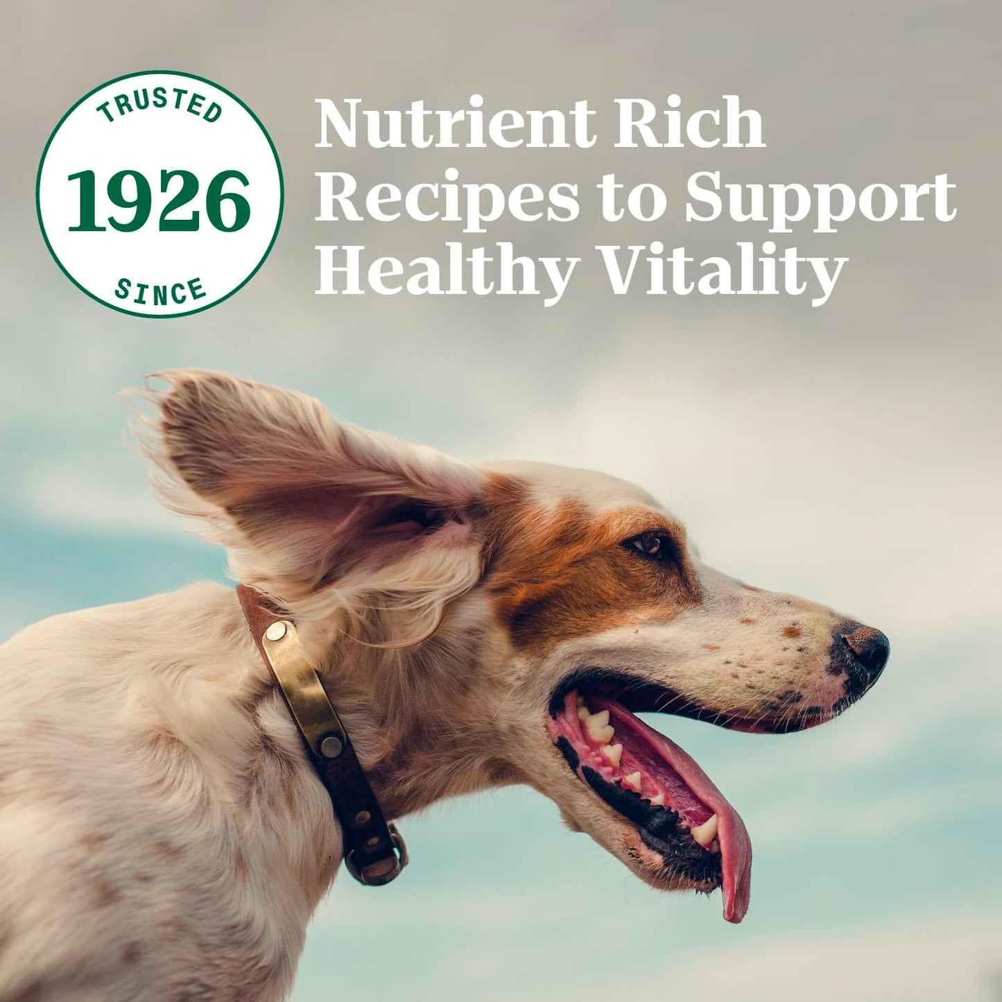 Natural Choice Small Bites Adult Dry Dog Food, Lamb and Brown Rice Recipe