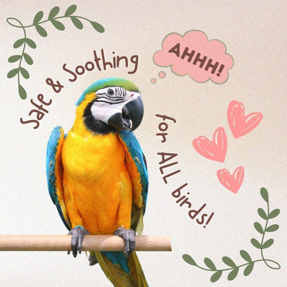 Unruffledrx™ Parrot Calming Formula - Soothes Screaming, Biting, & Plucking; Promotes Relaxation