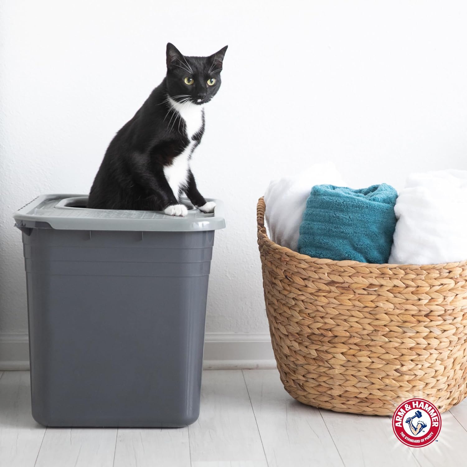 Arm & Hammer Premium Top Entry Litter Box with Filter to Clean Paws and Microban, Made in USA