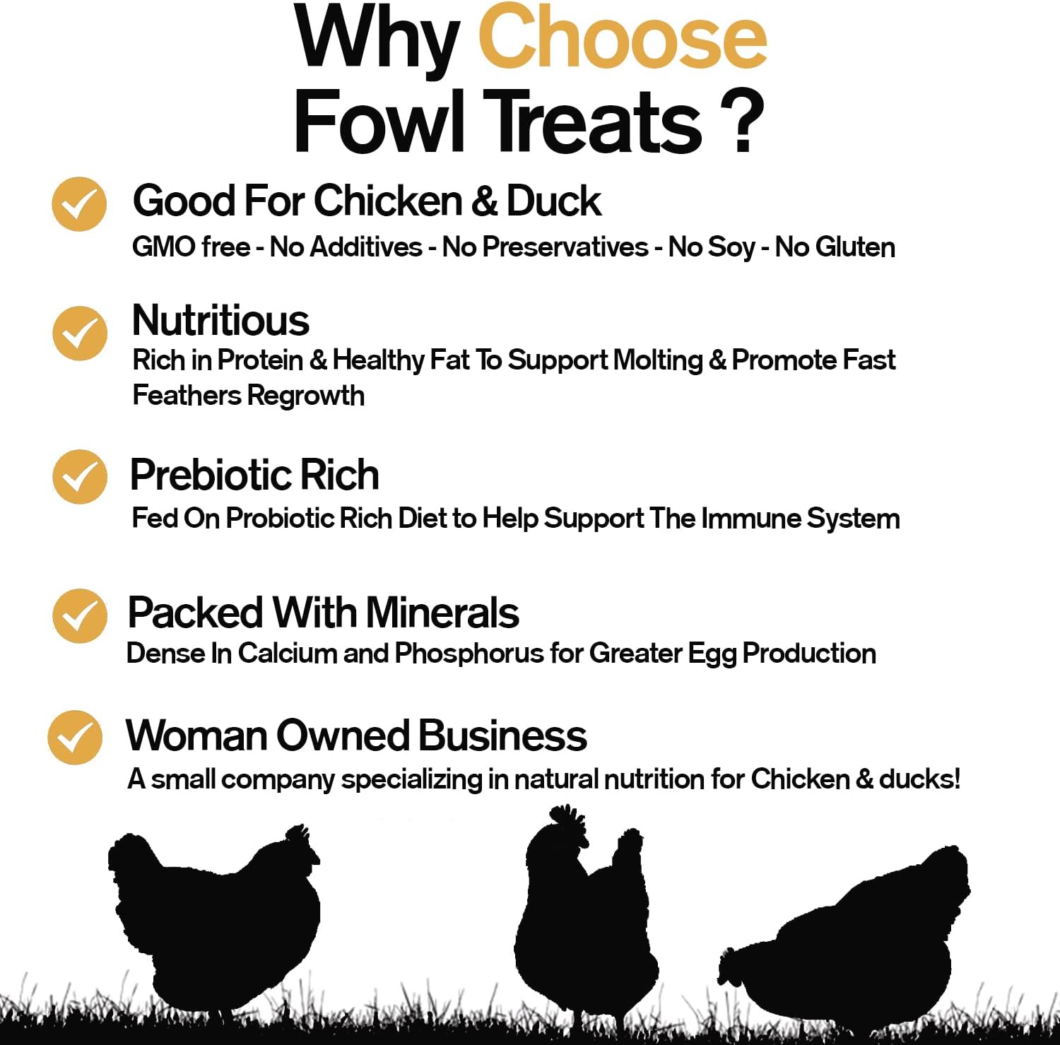 Naturally Fortified Treats - Protein Rich Supplement Suitable for Chickens, Hens and Ducks, Hand Mixed with USA Grown Ingredients - Equinox Blend