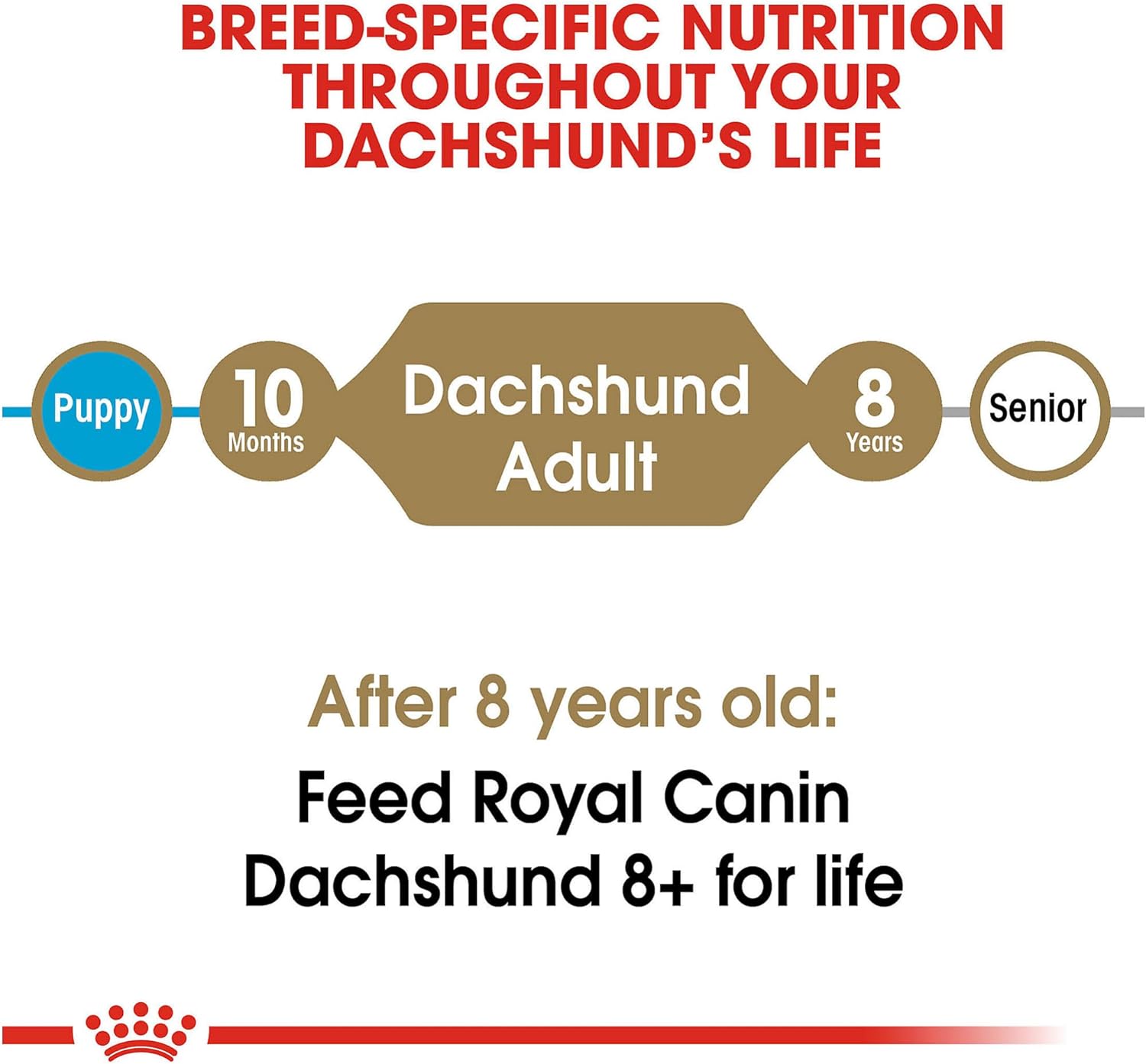 Royal Canin Dachshund Adult Breed Specific Dry Dog Food