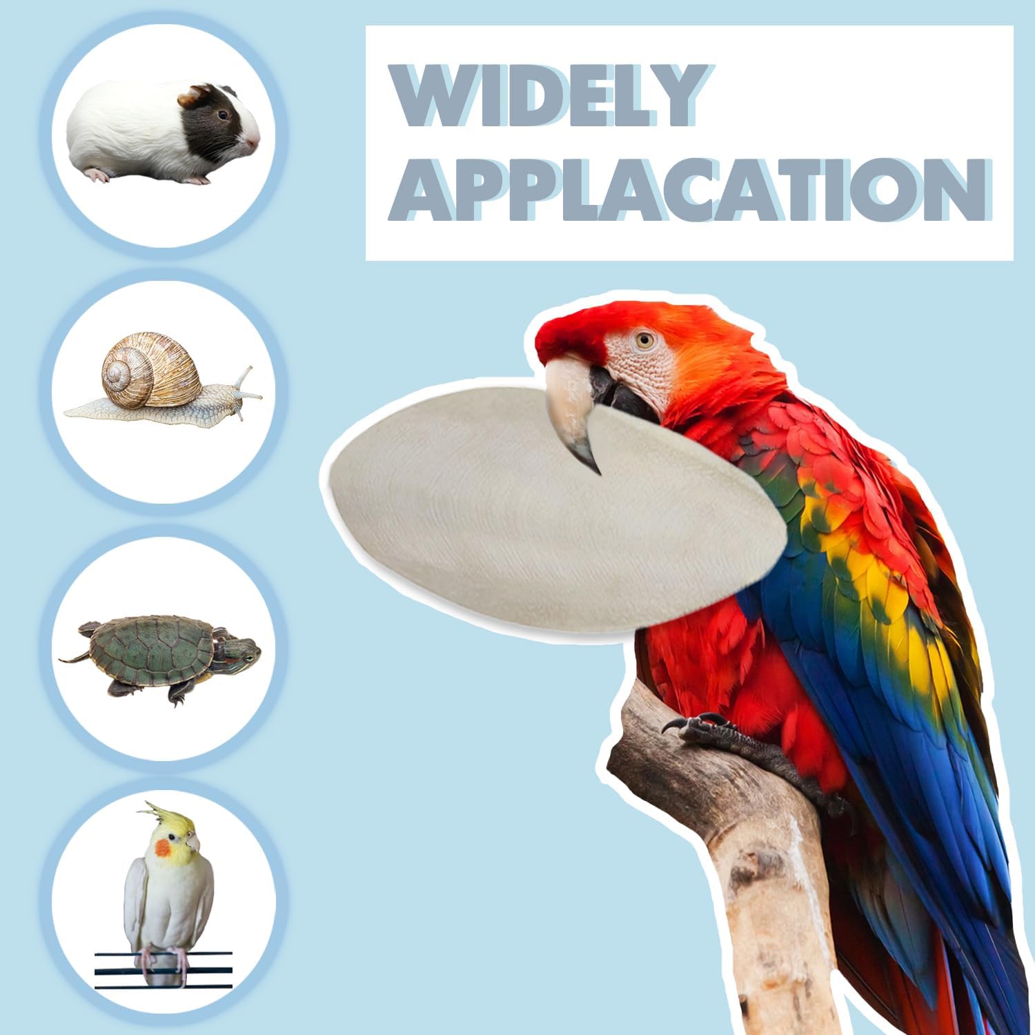 Jmxu'S Bird Cuttlebone for Parakeets, Cuddle Bone with Metal Holder, Cuttlefish Bone for Sharp Beaks, Natural Birds Calcium for Parrots Cockatiels Budgie