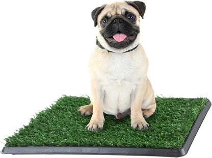 Artificial Grass Puppy Pee Pad for Dogs and Small Pets - Dog Housebreaking Supplies by PETMAKER