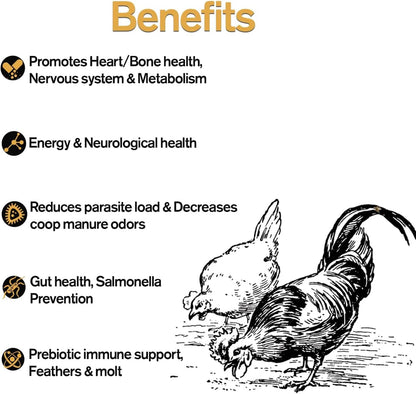 Naturally Fortified Treats - Protein Rich Supplement Suitable for Chickens, Hens and Ducks, Hand Mixed with USA Grown Ingredients - Equinox Blend