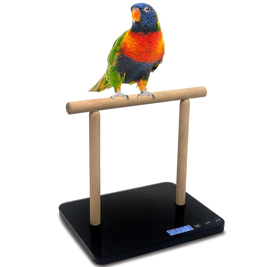 Pet Scale for Birds, Birds Weight Scale for Parrots, High Accuracy 1 Gram Scale, Easy Install Bird Training Stand and Perch, Designed for Middle Size Birds below 20Kgs