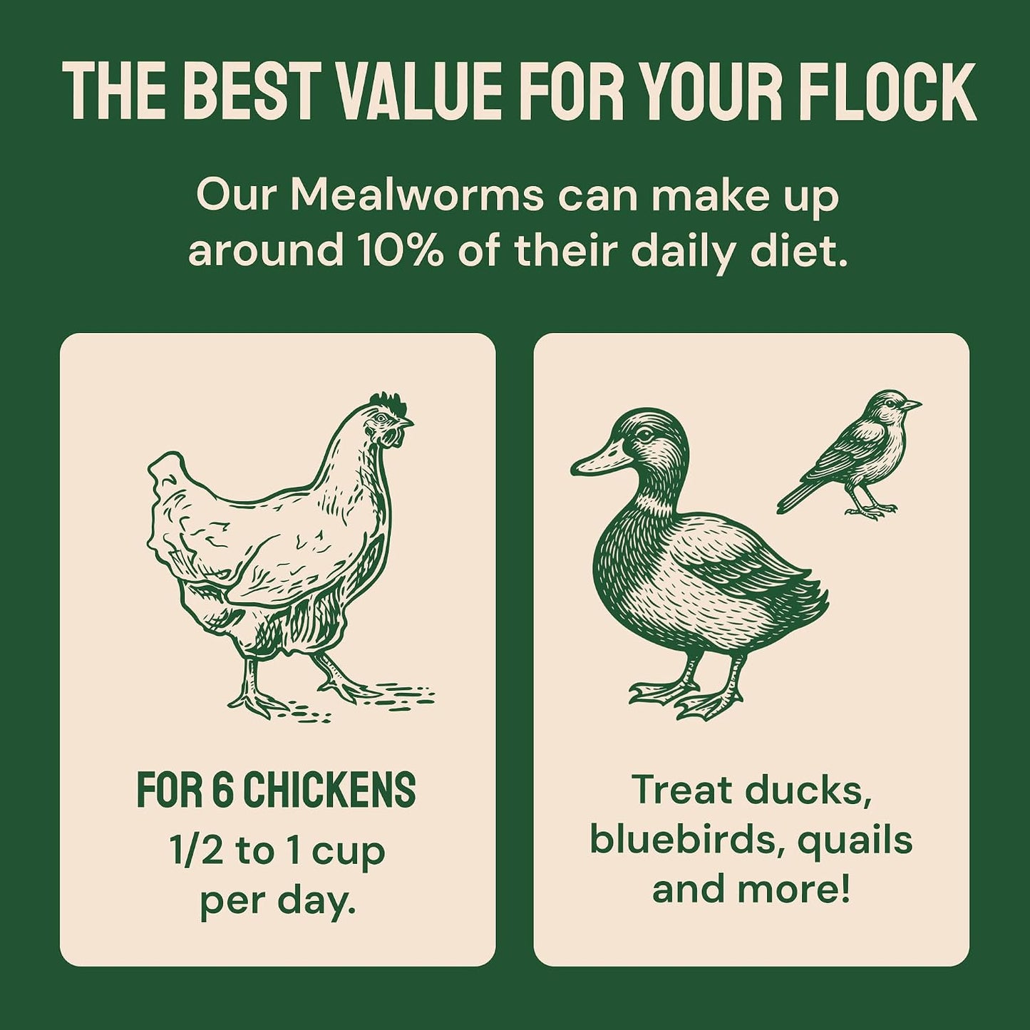 Dried Mealworms - Premium Organic Non-Gmo Dried Mealworms for Chickens - High Protein Chicken Feed Meal Worms for Wild Birds & Chicken Treats for Laying Hens