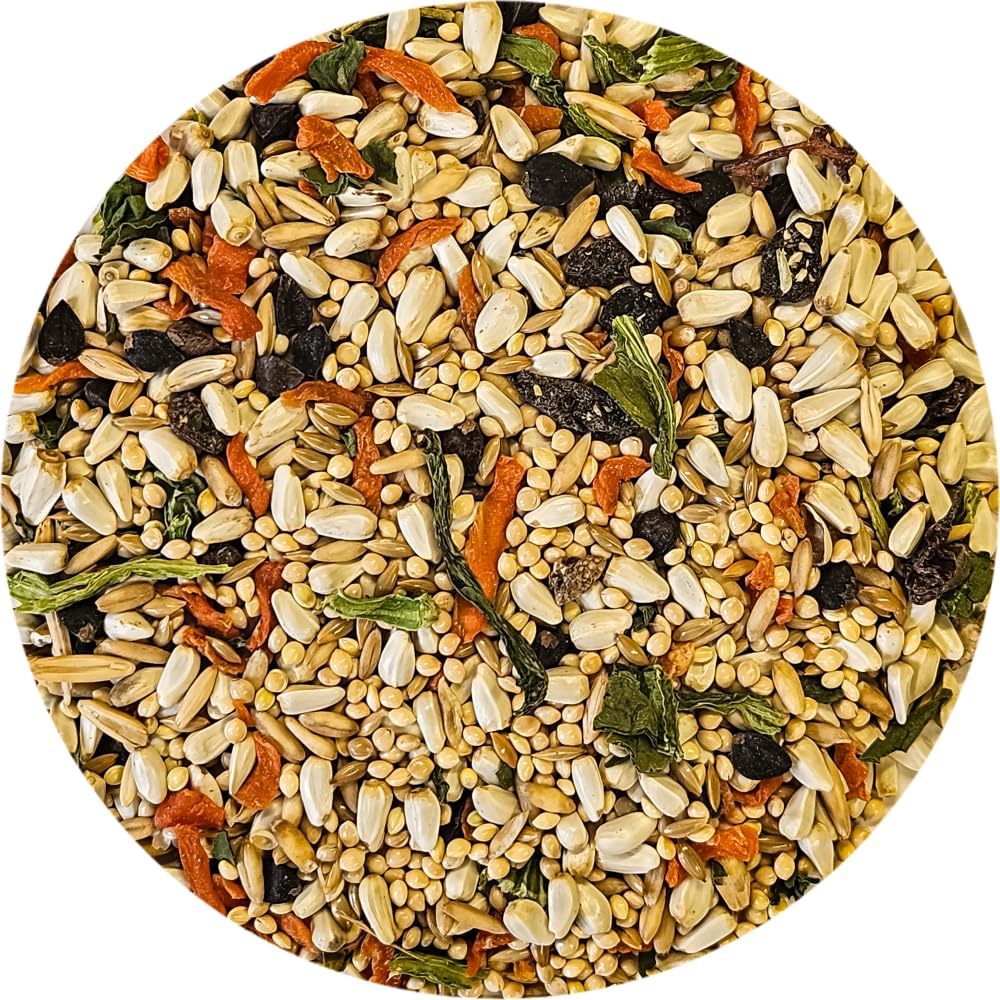 Cockatiel Bird Food (No Sunflower Seeds), 4 Lbs Bag - Seed Mix for Cockatiels