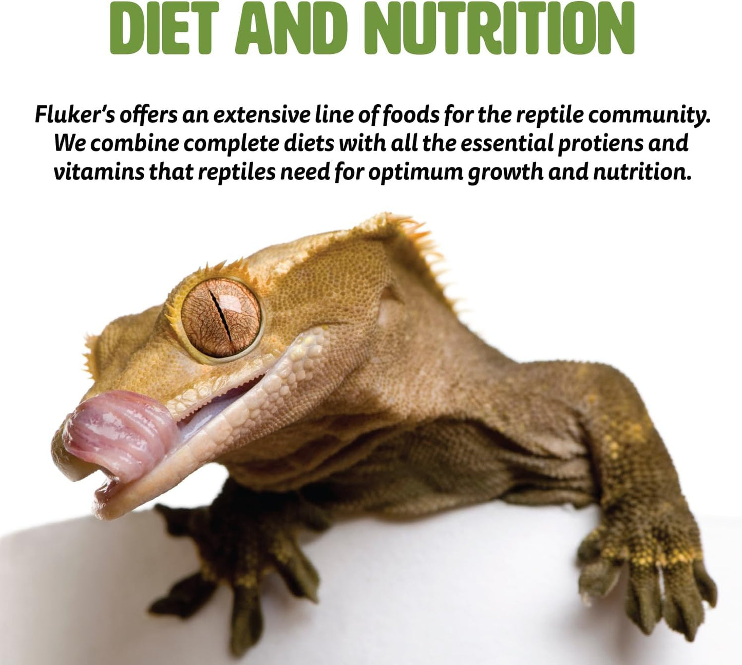 Fluker'S Culinary Coop Premium Chicken Treats, Mealworms, High Protein Worm, Nutritious Treat