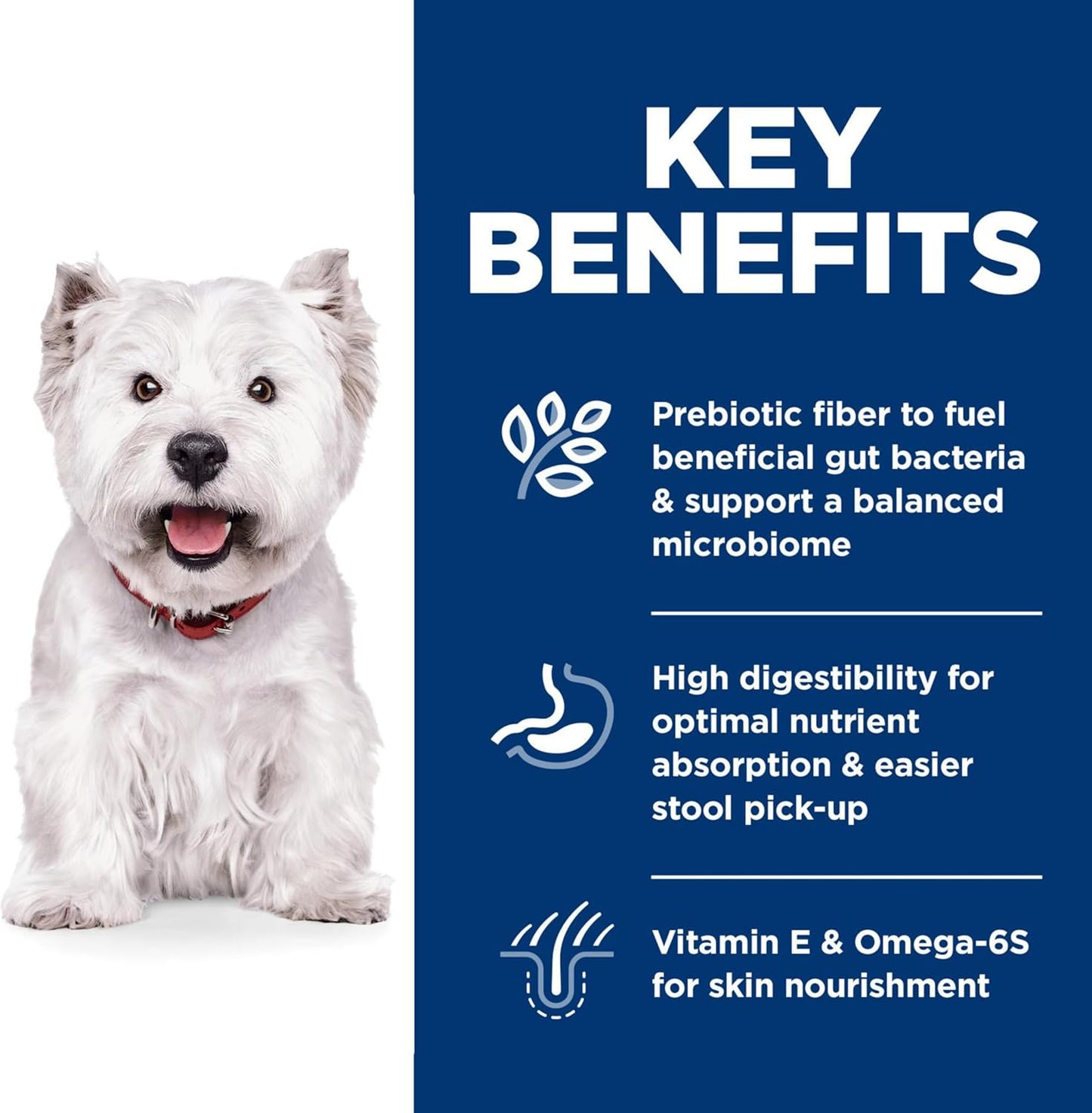 Sensitive Stomach & Skin, Adult 1-6, Stomach & Skin Sensitivity Support, Small Kibble, Dry Dog Food, Chicken Recipe