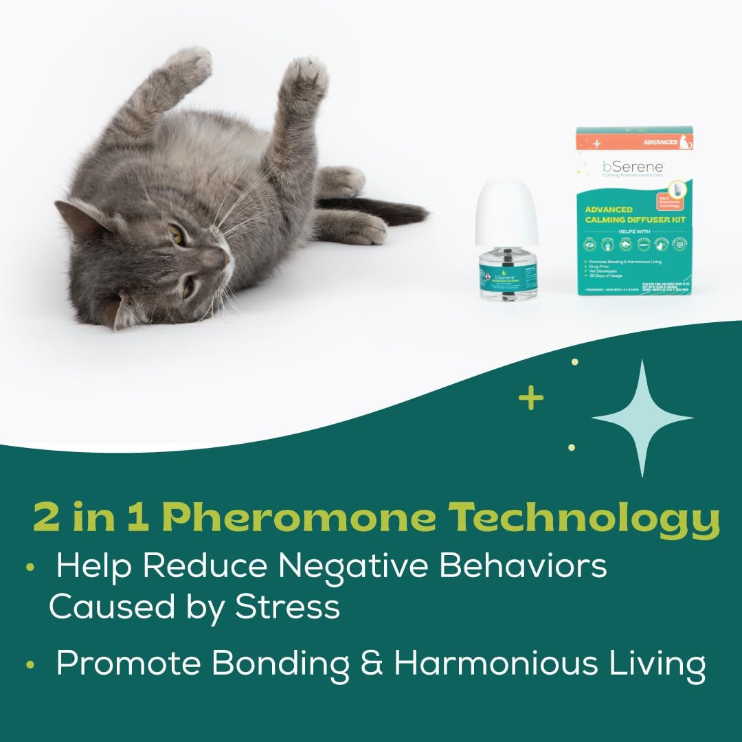 Advanced Pheromone Calming Solution for Cats 30-Day Diffuser Refill Helps Reduce Hiding, Scratching, Stress, Spraying for Single & Multi-Cat Homes, Promotes Bonding