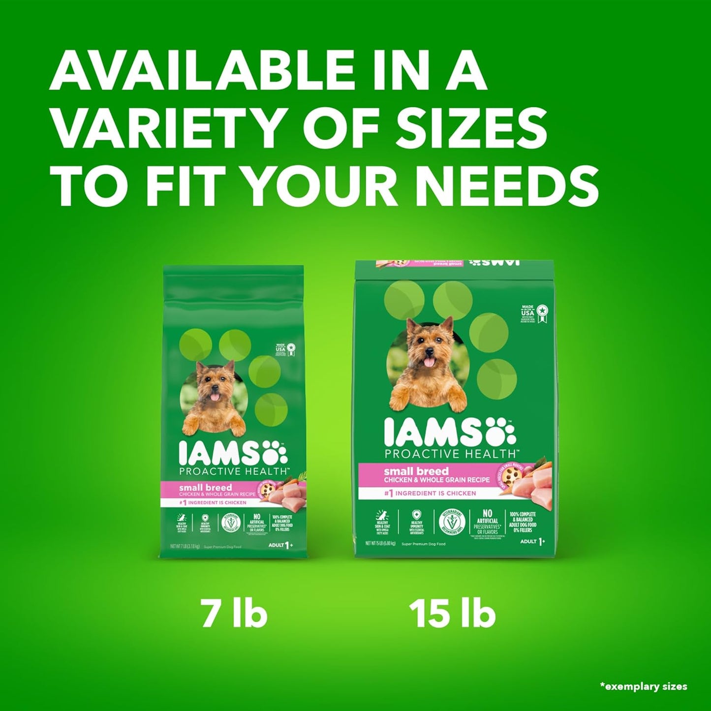 IAMS Small & Toy Breed Adult Dry Dog Food for Small Dogs with Real Chicken