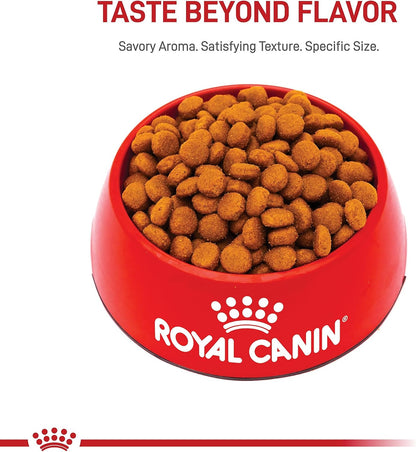 Large Breed Adult Dry Dog Food