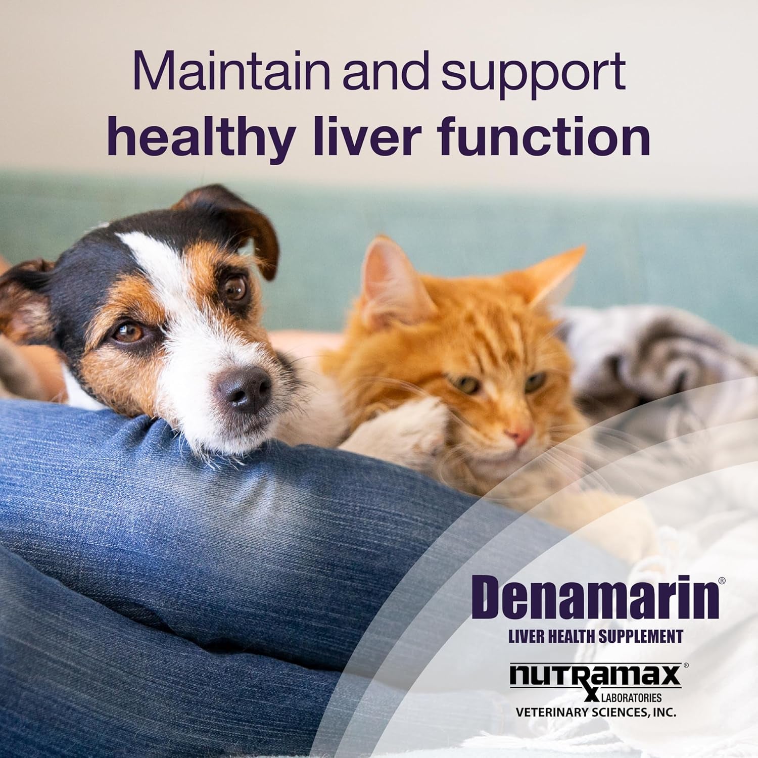 Nutramax Denamarin Liver Health Supplement for Small Dogs and Cats - with S-Adenosylmethionine (Same) and Silybin, 30 Blister Pack Tablets