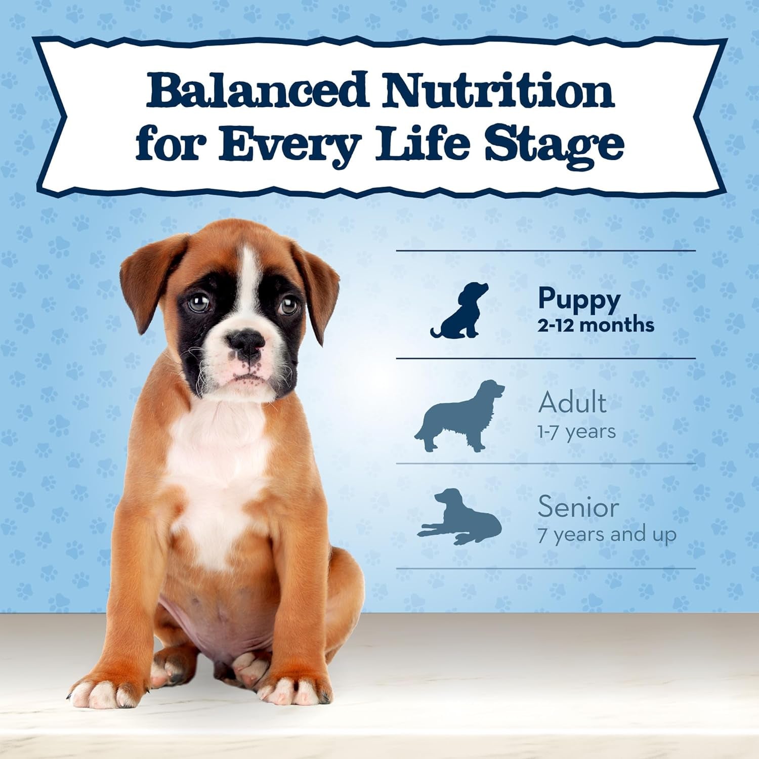 Blue Buffalo Baby BLUE Natural Small Breed Puppy Dry Dog Food, Healthy Growth Formula with DHA, Chicken and Oatmeal Recipe