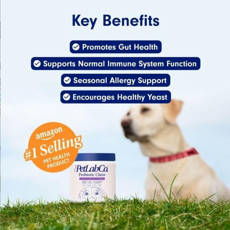 Probiotics for Dogs, Support Gut Health, Diarrhea, Digestive Health & Seasonal Allergies - Pork Flavor - 30 Soft Chews - Packaging May Vary