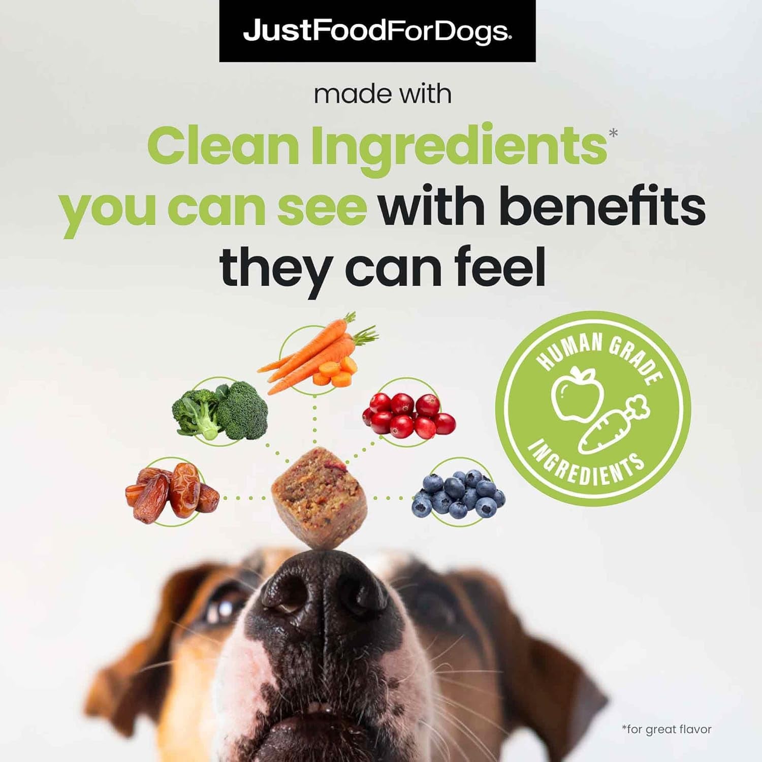 Justfoodfordogs Care Soft Chews Supplement for Dogs, Seasonal Allergies, Itchy Skin, Inflammation, Immune Support - 45 Count