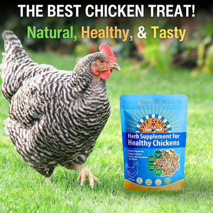 Buffclucks Herb Supplement for Backyard Chickens - Natural Chicken Treats, Poultry Feed Botanical Mix, Plant-Based Coop Snacks for Daily Wellness, Feather Quality, Egg Production - Crafted in USA