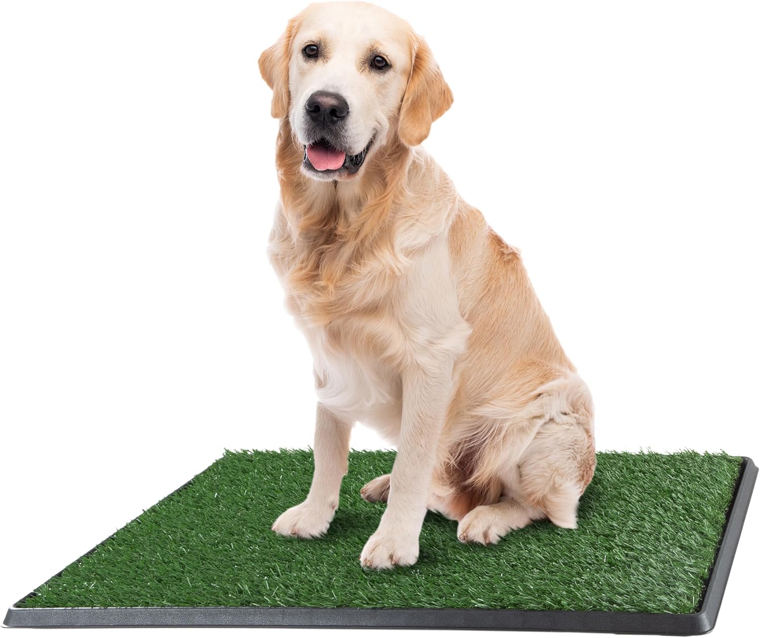 Artificial Grass Puppy Pee Pad for Dogs and Small Pets - Dog Housebreaking Supplies by PETMAKER