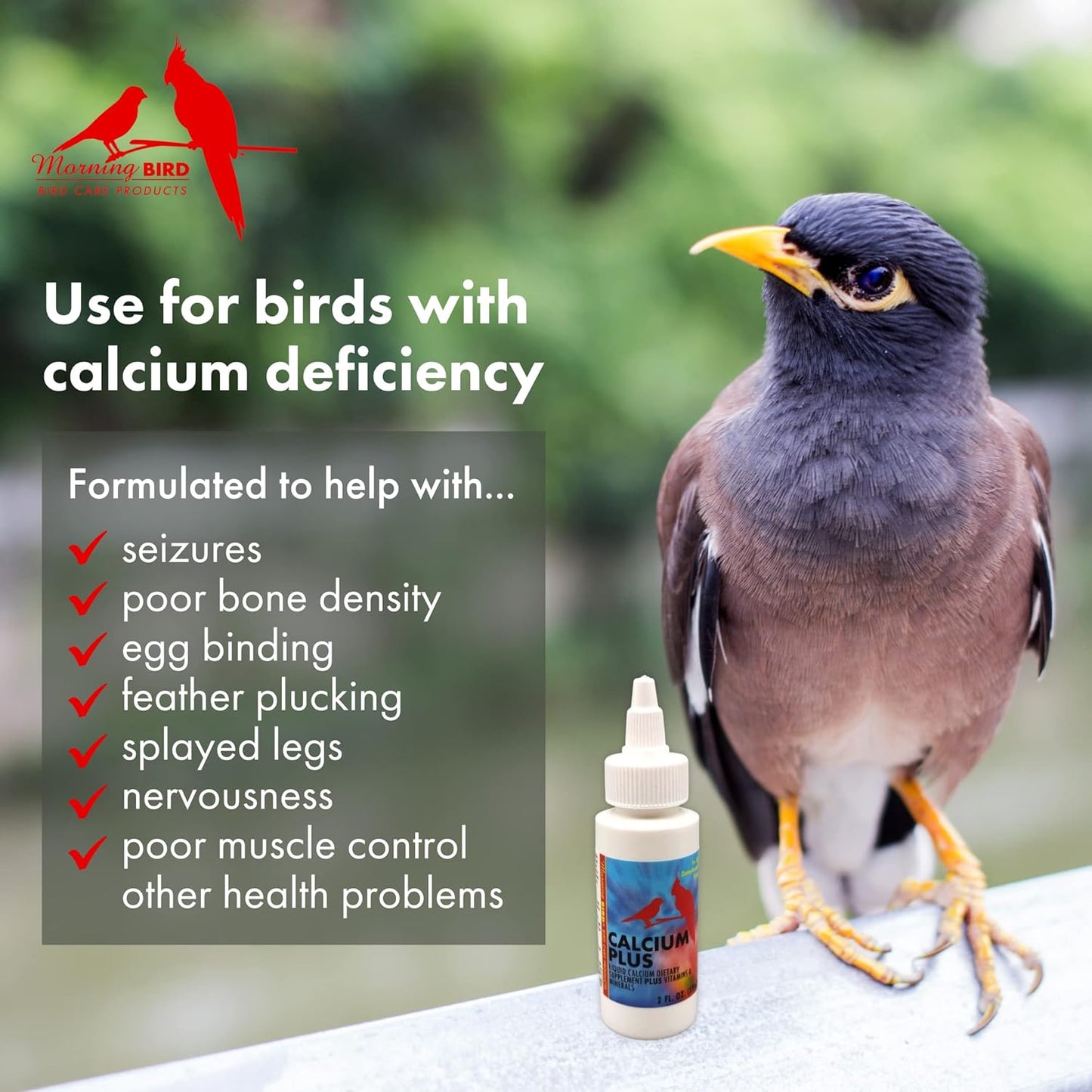 Morning Bird Calcium plus Supplement for Avian Health, Liquid Calcium Formula with Magnesium and Vitamin D3