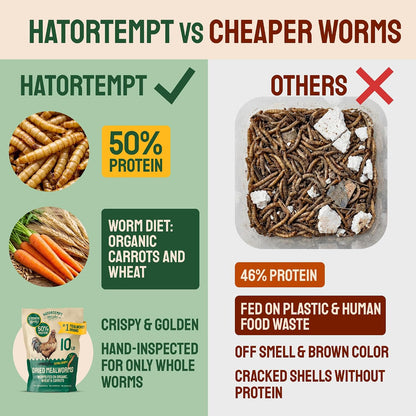 Dried Mealworms - Premium Organic Non-Gmo Dried Mealworms for Chickens - High Protein Chicken Feed Meal Worms for Wild Birds & Chicken Treats for Laying Hens