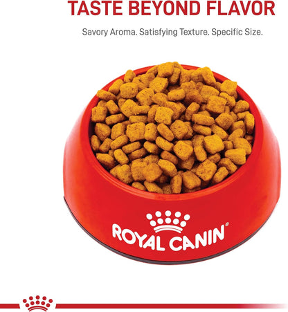 Royal Canin Dachshund Adult Breed Specific Dry Dog Food