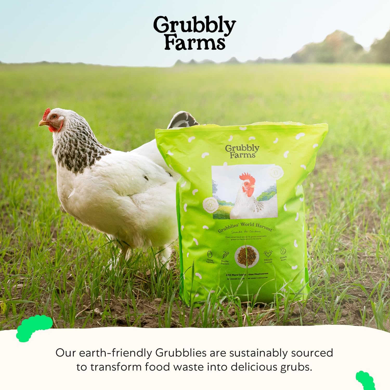 Grubblies - Black Soldier Fly Larvae for Chickens - Nourishing Daily Chicken Treats - for Strong Eggshells and Healthy Feathers - Grubblies World Harvest