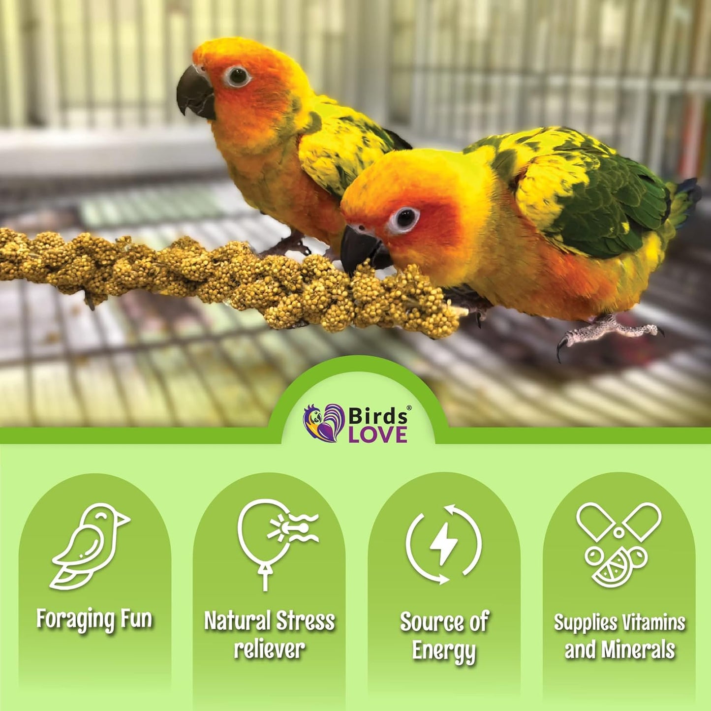 Birds LOVE French Kissed Spray Millet for Birds - Parakeets, Cockatiels, Lovebirds, Finches, Budgies, Canaries, Cockatoos - Natural & Healthy Bird Millet - Parakeet Food & Treats for All Parrots