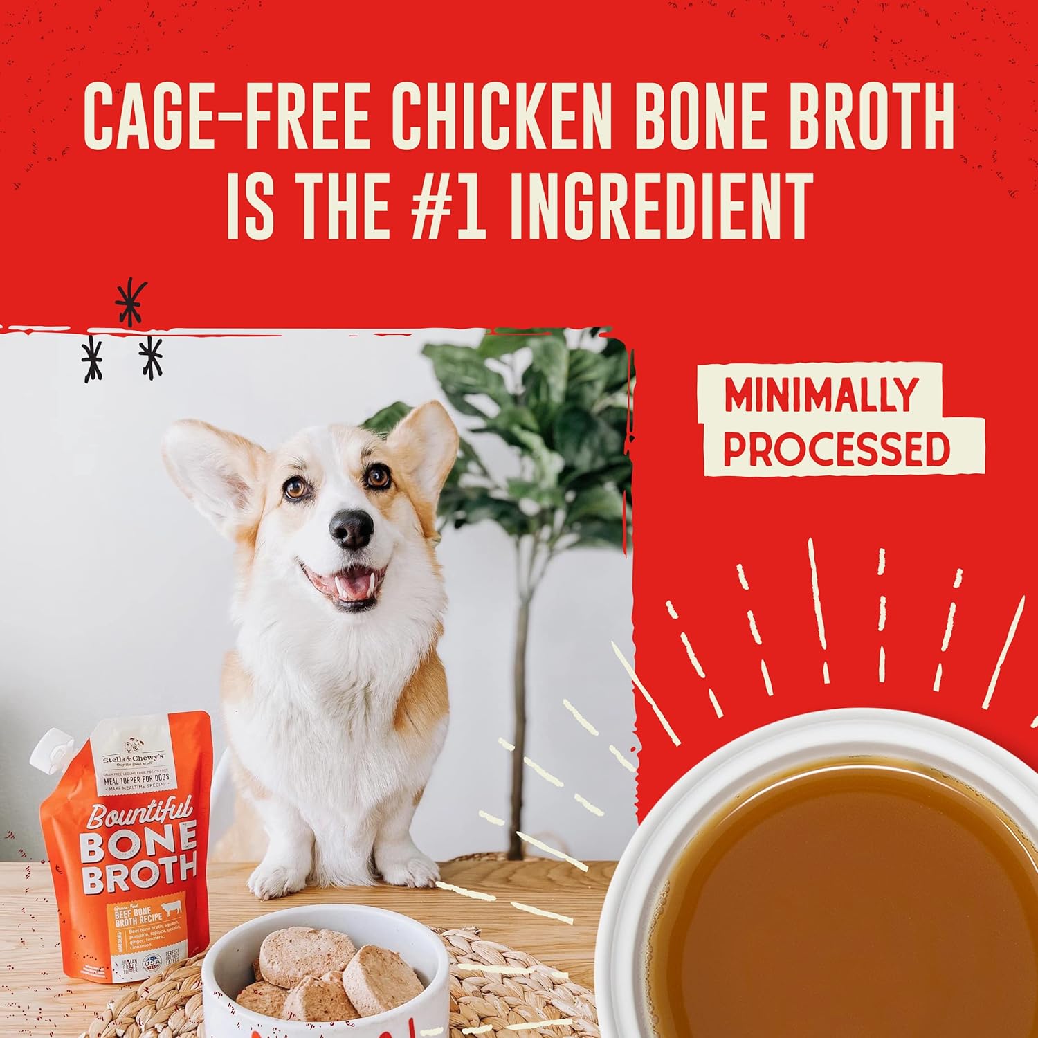 Stella & Chewy'S Bountiful Bone Broth Cage-Free Chicken Recipe Meal Topper for Dogs