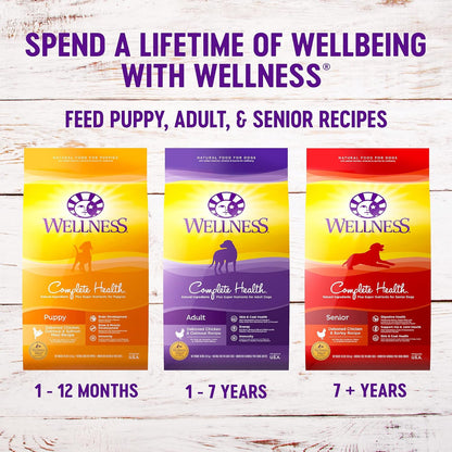 Complete Health Dry Dog Food with Grains, Natural Ingredients, All Breeds, for Adult Dogs