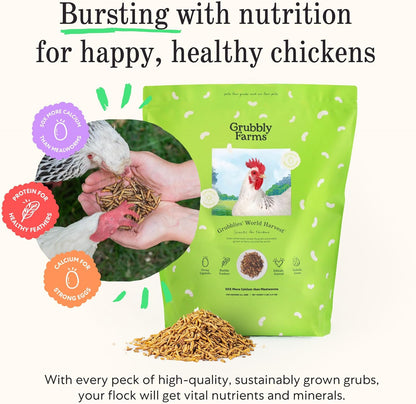 Grubblies - Black Soldier Fly Larvae for Chickens - Nourishing Daily Chicken Treats - for Strong Eggshells and Healthy Feathers - Grubblies World Harvest