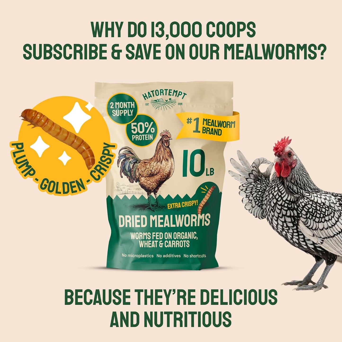 Dried Mealworms - Premium Organic Non-Gmo Dried Mealworms for Chickens - High Protein Chicken Feed Meal Worms for Wild Birds & Chicken Treats for Laying Hens
