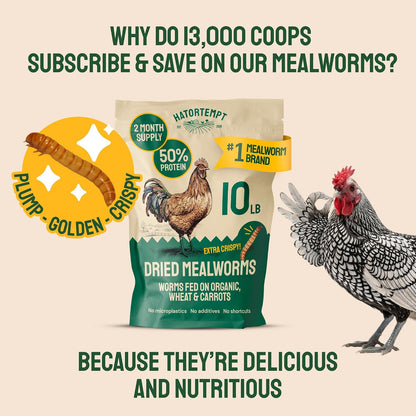 Dried Mealworms - Premium Organic Non-Gmo Dried Mealworms for Chickens - High Protein Chicken Feed Meal Worms for Wild Birds & Chicken Treats for Laying Hens