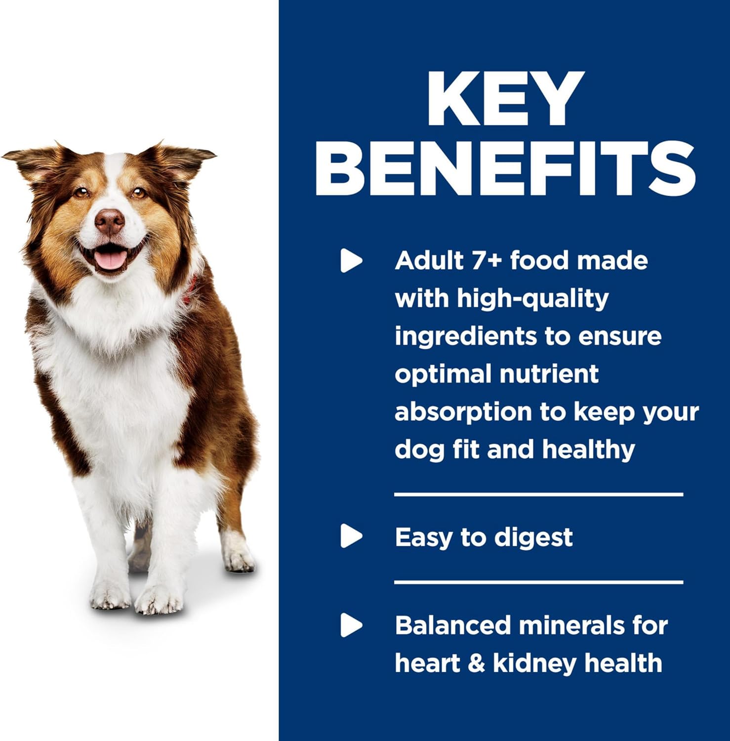 Hill'S Science Diet Adult 7+, Senior Adult 7+ Premium Nutrition, Wet Dog Food