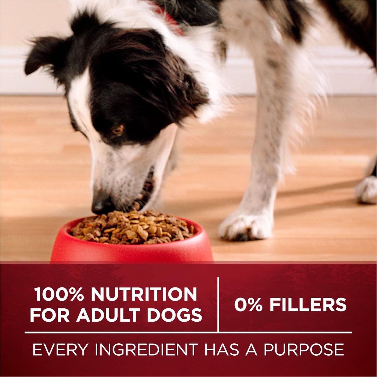 True Instinct with a Blend of Real Turkey and Venison Dry Dog Food