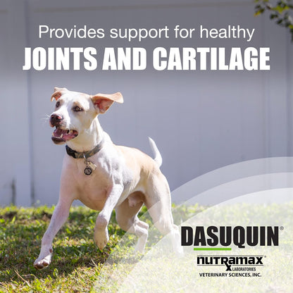 Nutramax Dasuquin Joint Health Supplement for Small to Medium Dogs - with Glucosamine, Chondroitin, ASU, Boswellia Serrata Extract, Green Tea Extract, 150 Chewable Tablets