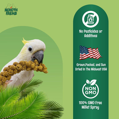 Worlds Freshest Sun-Dried Spray Millet - Non-Gmo (No Stems Only Edible Tops) - Healthy Bird Treat and Supplement for All Pet Birds Parakeets Cockatiels Finches - 1Lb