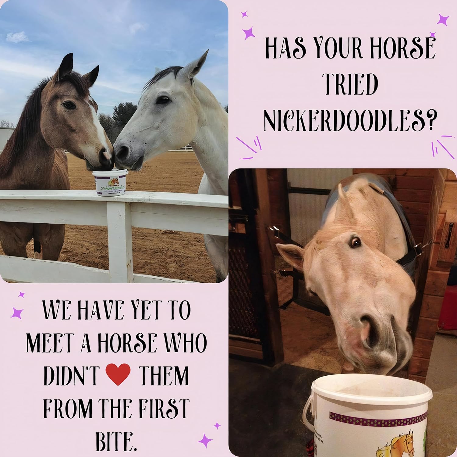 Horse Treats - 5 Lb Pail - Effortlessly Give Medications with Our Soft Baked Treats - Training Treats Are the Perfect Motivator - No Additives or Preservatives