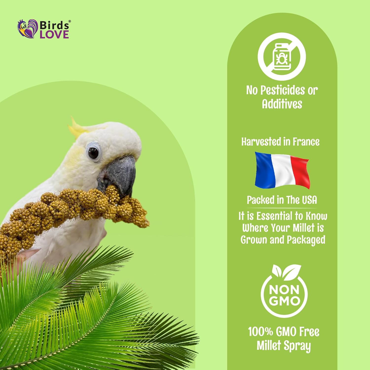 Birds LOVE French Kissed Spray Millet for Birds - Parakeets, Cockatiels, Lovebirds, Finches, Budgies, Canaries, Cockatoos - Natural & Healthy Bird Millet - Parakeet Food & Treats for All Parrots