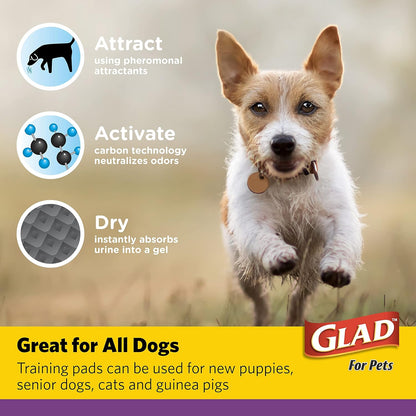 Glad for Pets JUMBO-SIZE Charcoal Puppy Pads, All-In-One, Black Training Pads That ABSORB & Neutralize Urine Instantly, New & Improved Quality Puppy Pee Pads