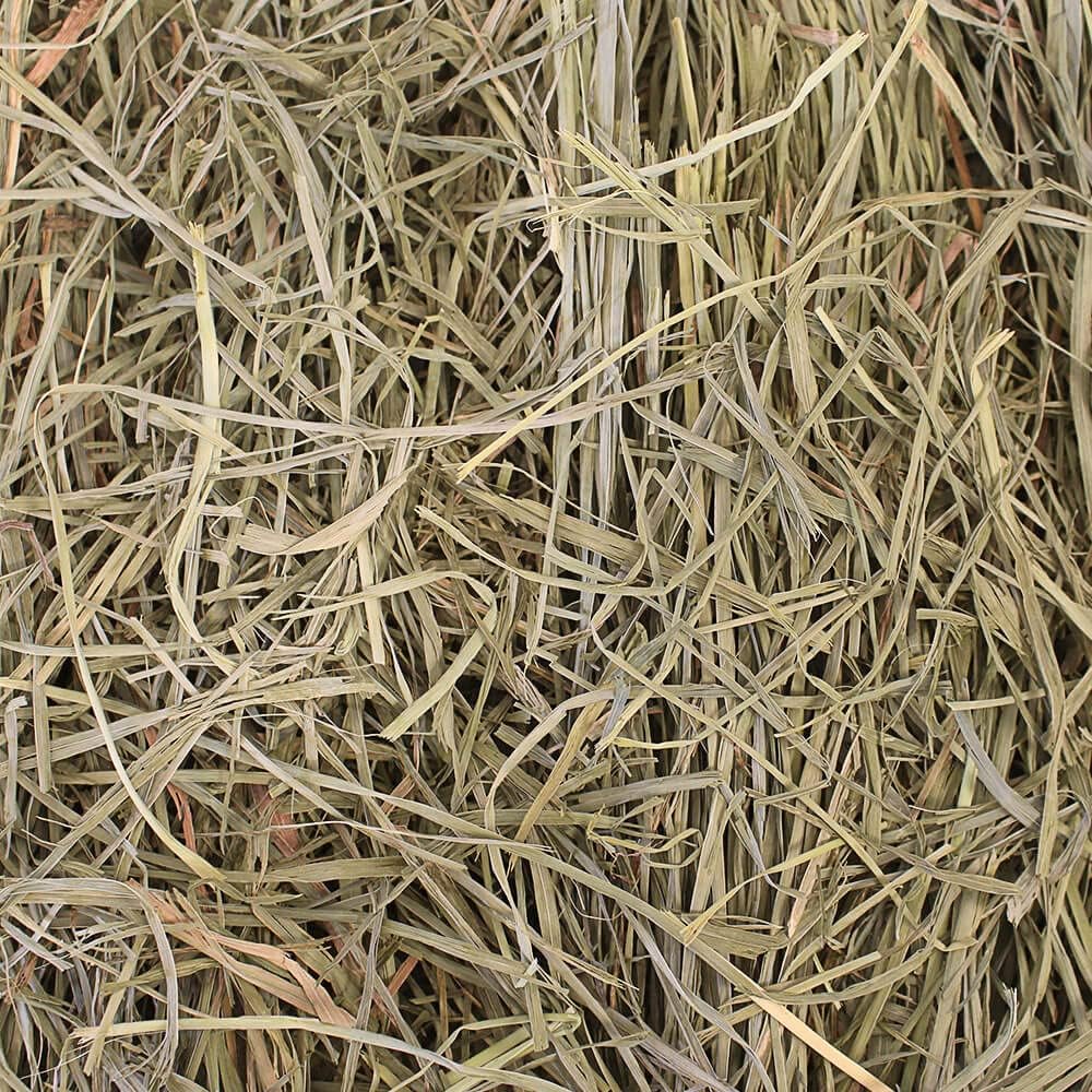 Grandpa'S Best Premium Orchard Grass Hay for Rabbits, Guinea Pigs, Chinchillas, Hamsters & Gerbils