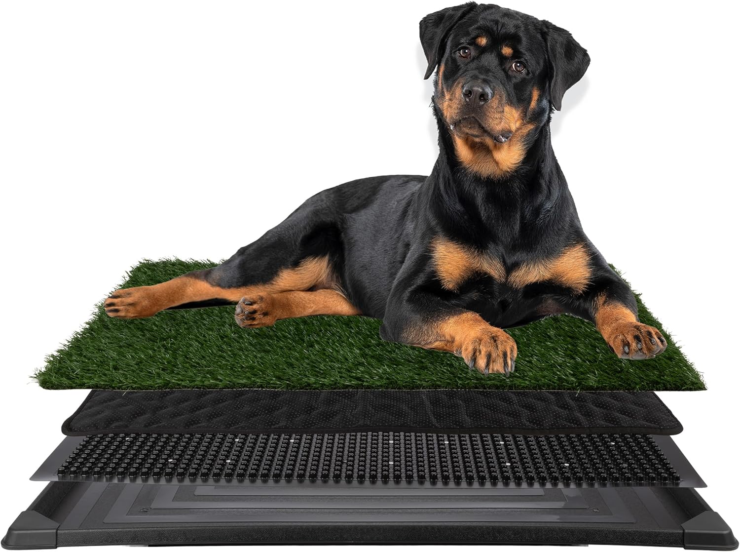 Artificial Grass Puppy Pee Pad for Dogs and Small Pets - Dog Housebreaking Supplies by PETMAKER