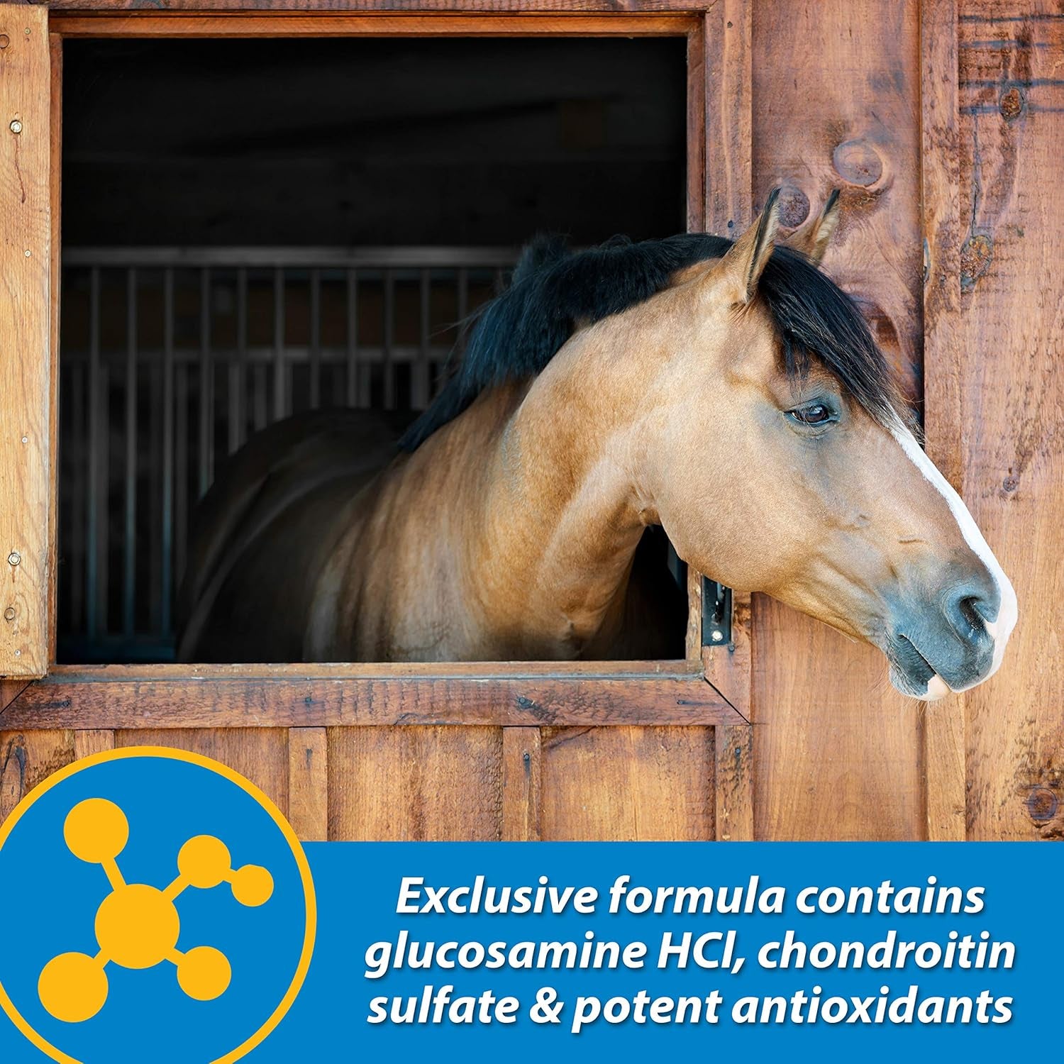 Farnam Fluidflex Liquid Joint Supplement for Horses, Helps Maintain Healthy Hip & Joint Function