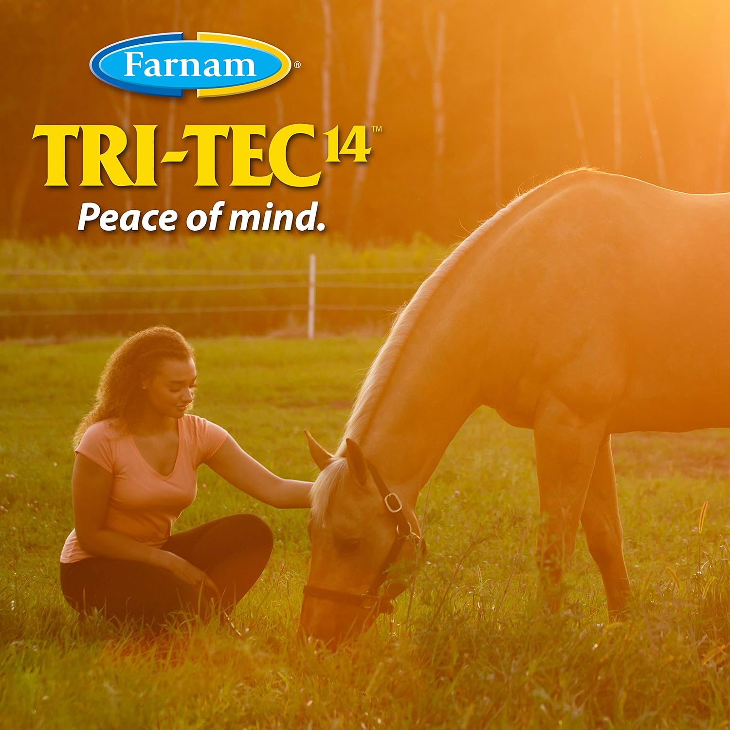 Farnam Tri-Tec 14 Horse Fly Spray, Kills, Repels, Protects, 128 Ounces, Easy Pour Gallon Refill, 1 Gallon Easy Pour